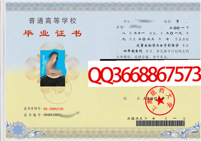 上海纽约大学2023年毕业证样本