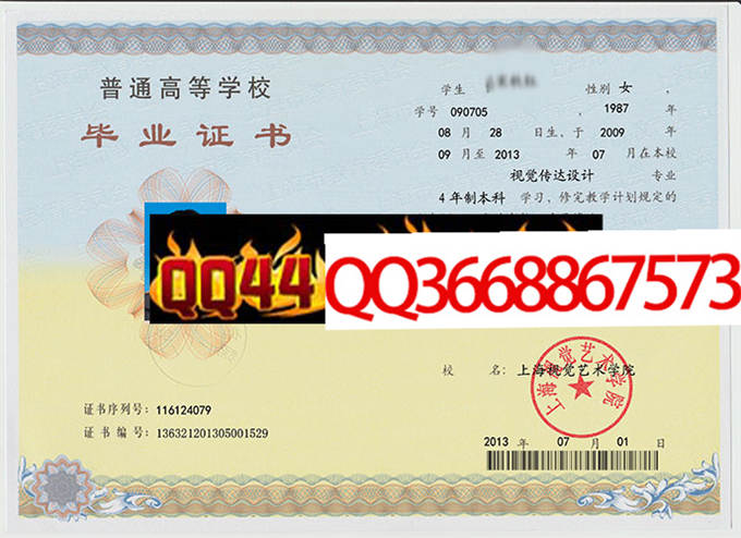 上海视觉艺术学院2013年毕业证样本