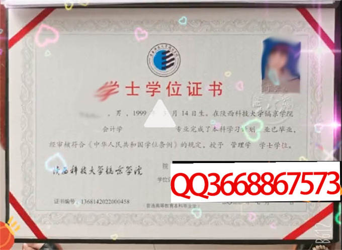 陕西科技大学镐京学院2022年学位证样本