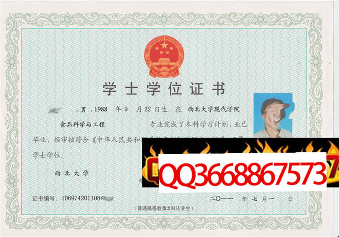 西北大学现代学院2011学位证样本