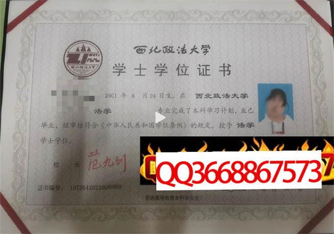 西北政法大学2023年学位证样本