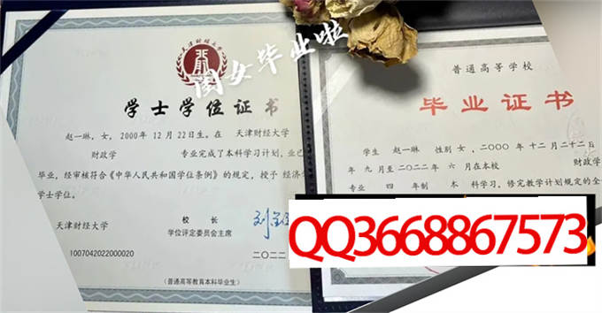天津财经大学2022年毕业证样本
