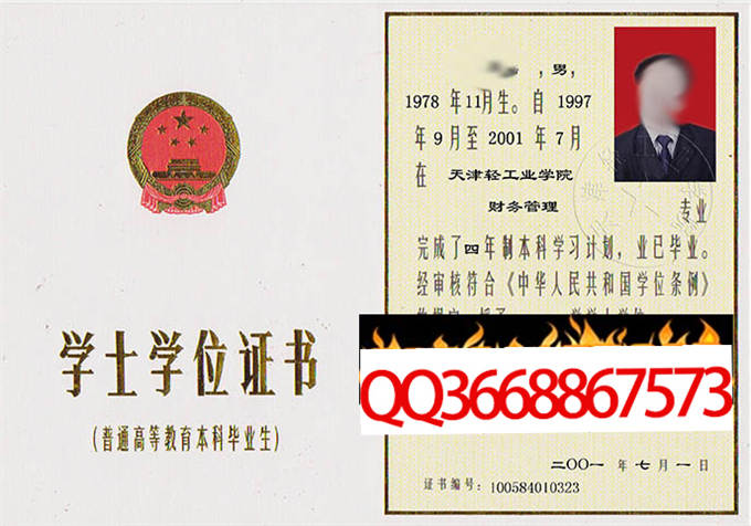 天津轻工业学院2001年学位证样本