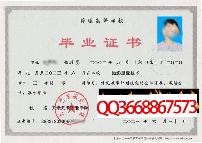 天津艺术职业学院2023年毕业证样本