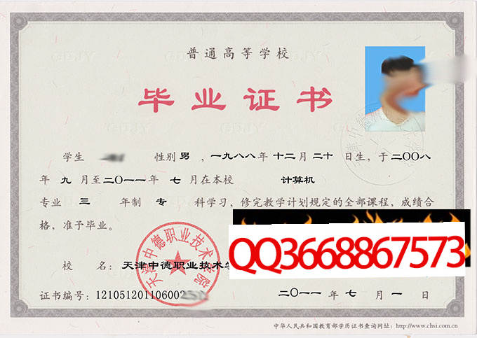 天津中德职业技术学院2011年毕业证样本