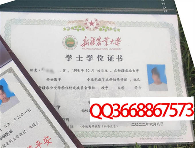 新疆农业大学2022年学位证样本