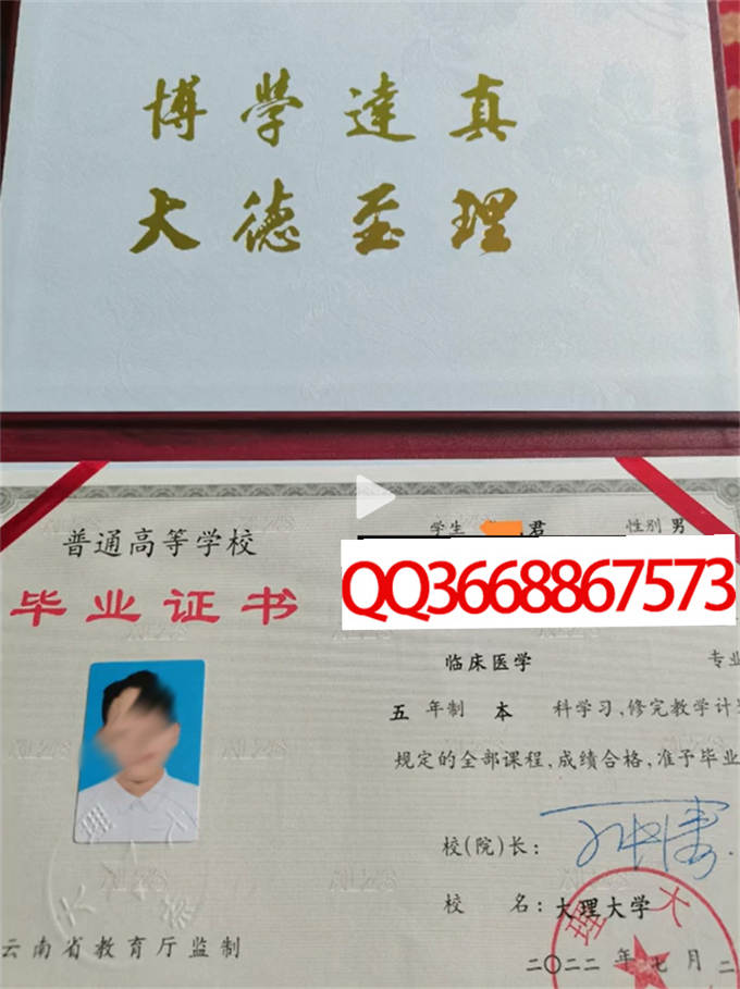 大理大学2022年毕业证样本