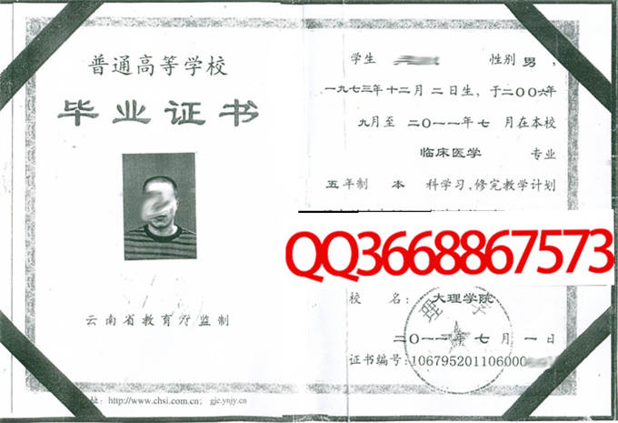 大理学院2011年毕业证样本