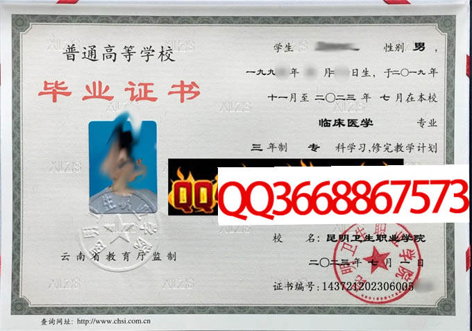 昆明卫生职业学院2023年毕业证样本