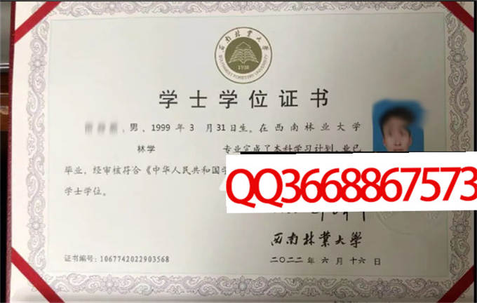 西南林业大学2022年学位证样本
