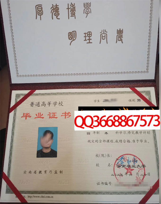 云南农业大学2023年毕业证样本