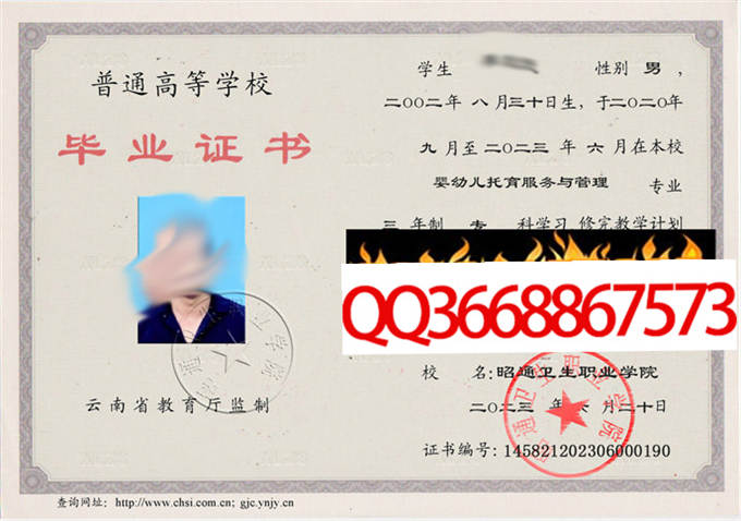 昭通卫生职业学院2023年毕业证样本