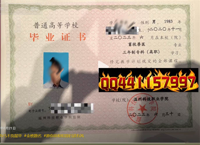 温州科技职业学院2023年毕业证样本